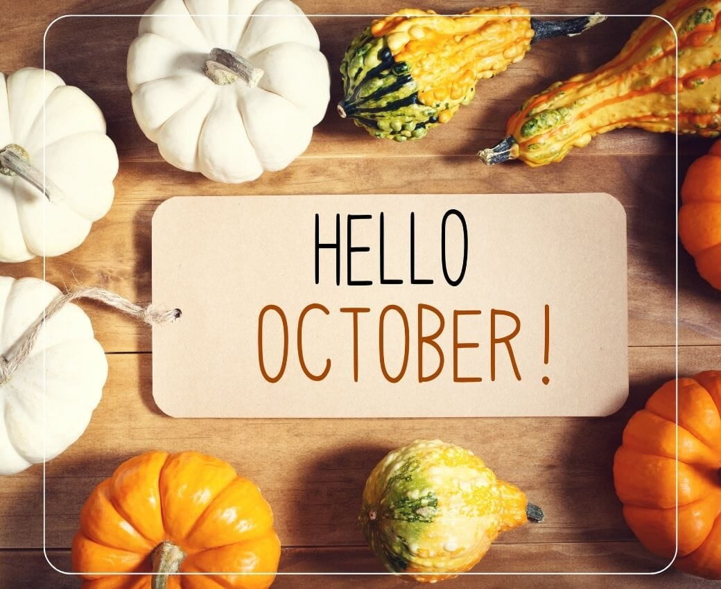 October 2026 Market Update: